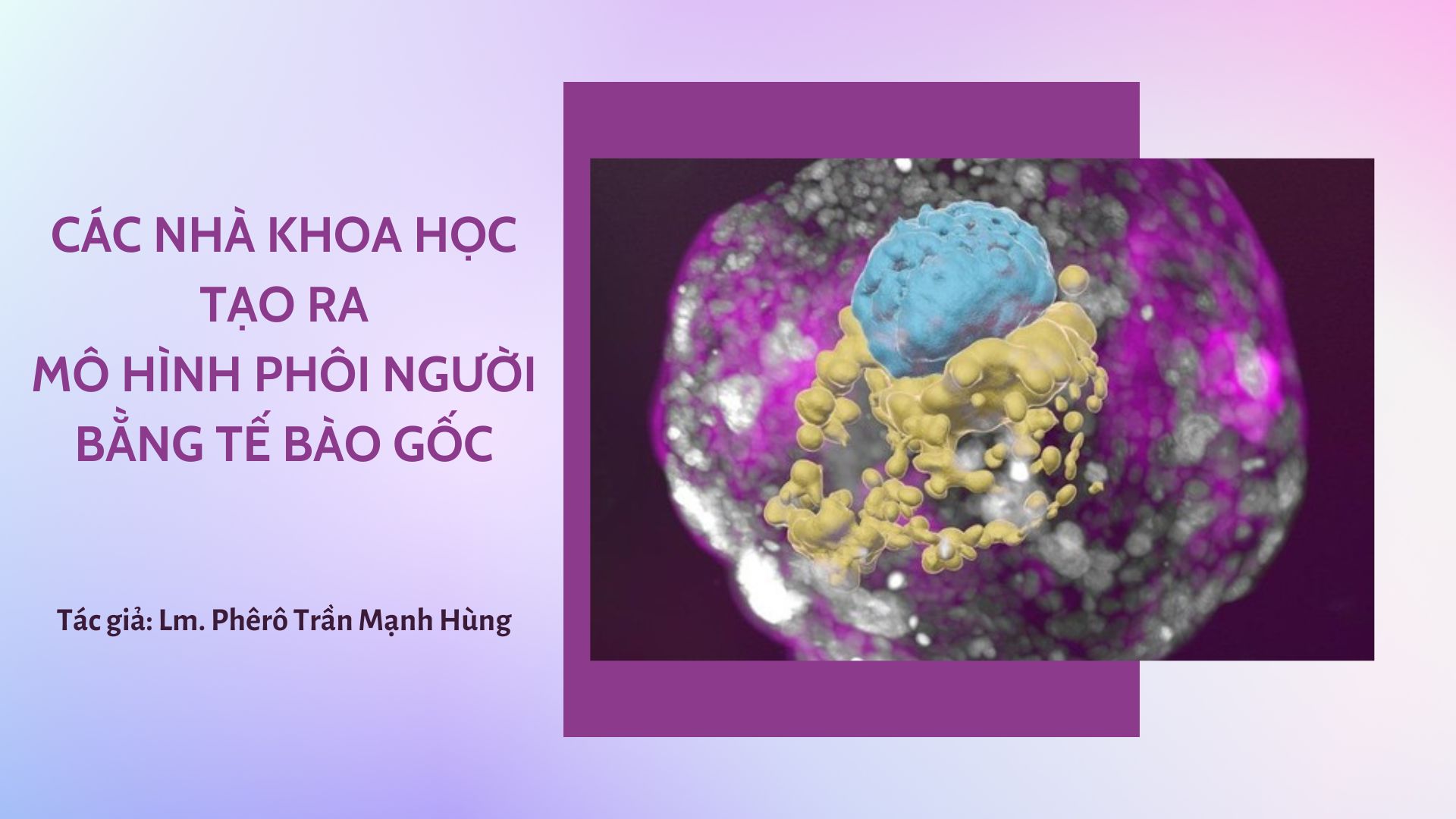 CÁC NHÀ KHOA HỌC TẠO RA MÔ HÌNH PHÔI NGƯỜI BẰNG TẾ BÀO GỐC