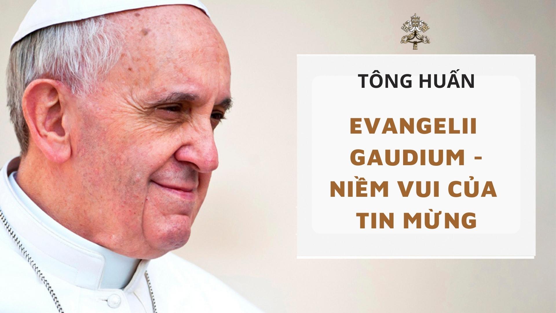 Sự biến dạng của rễ có ý nghĩa gì? Tìm hiểu chi tiết và thú vị về hiện tượng này