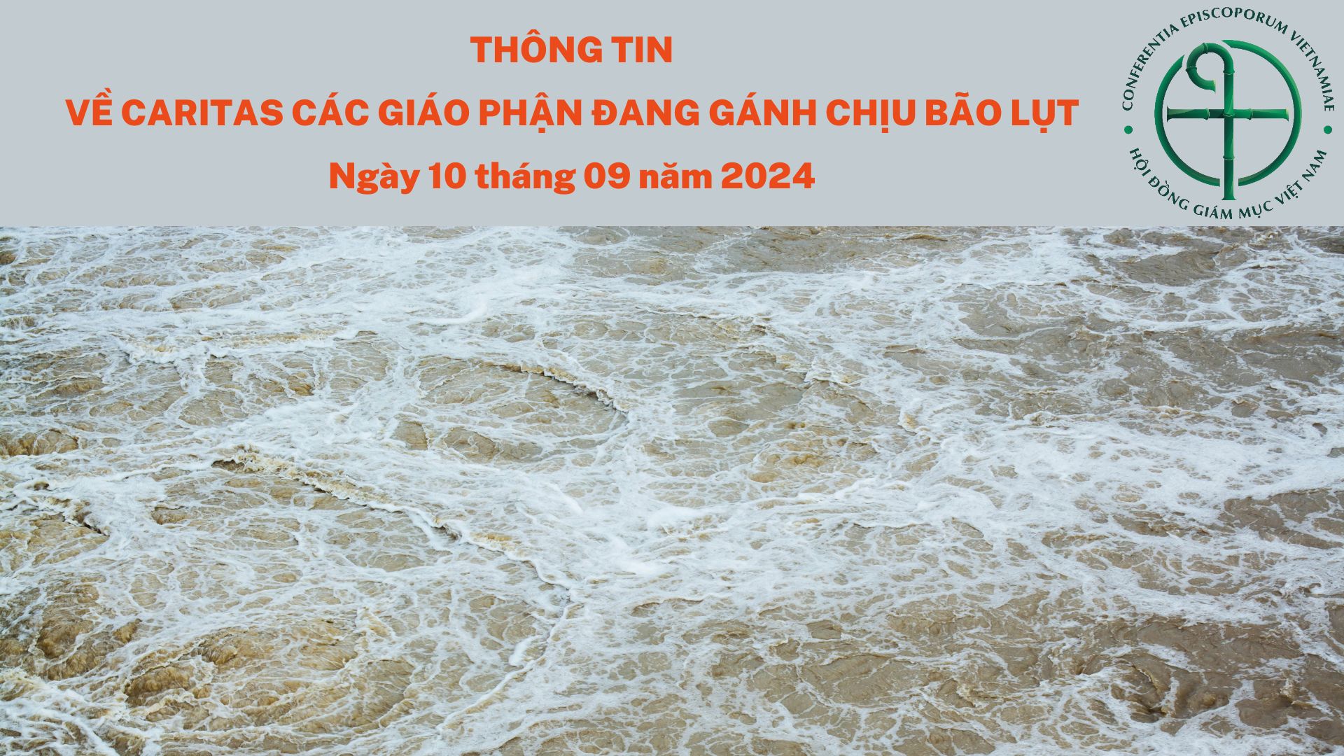 hdgmvietnam.com